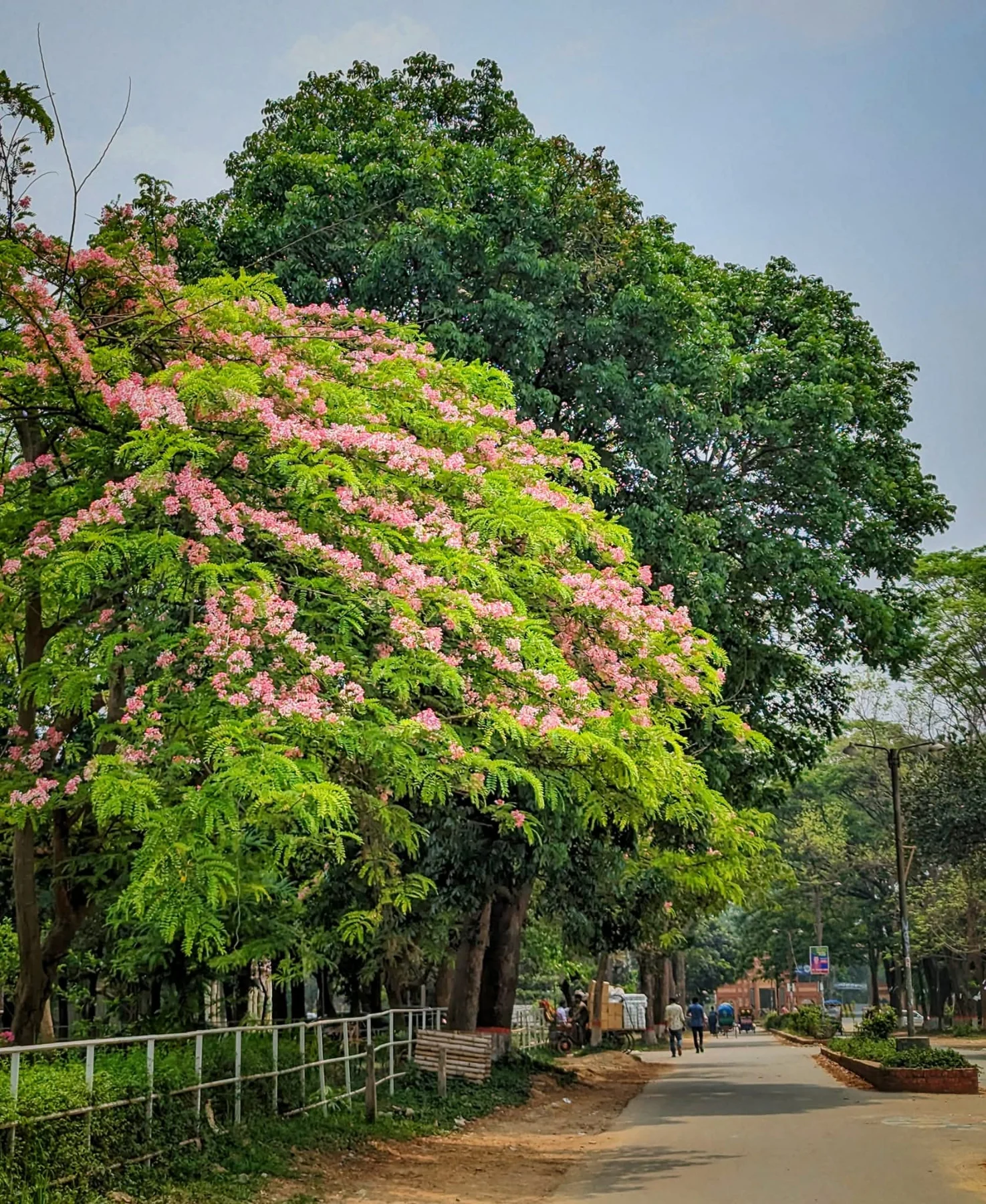 Photograph by Arafat Rahaman