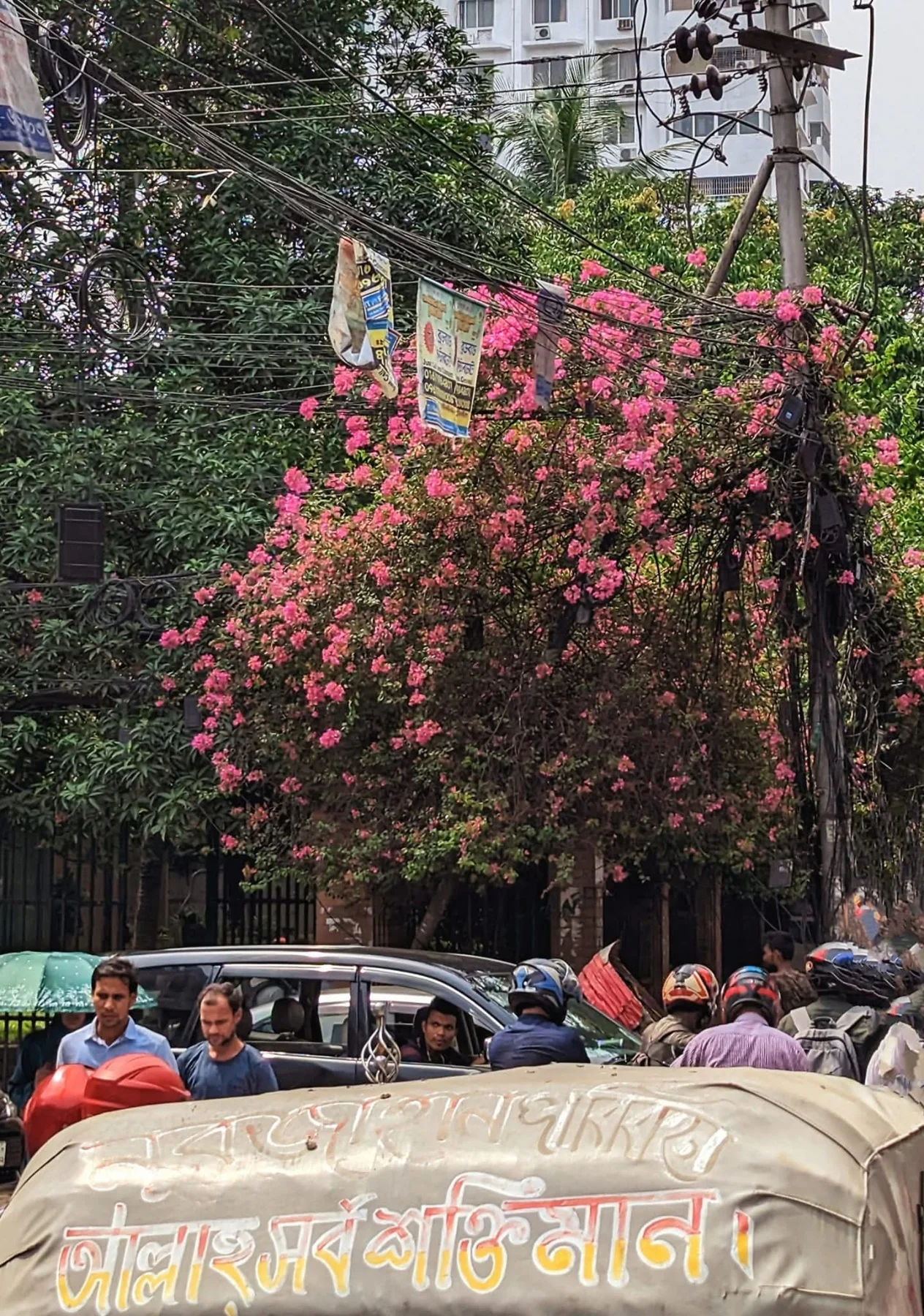 Photograph by Arafat Rahaman