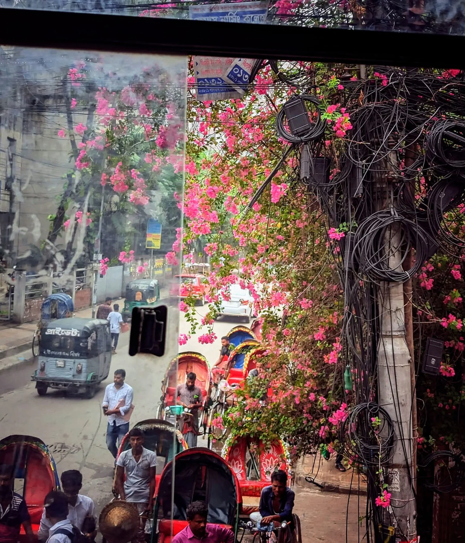 Photograph by Arafat Rahaman