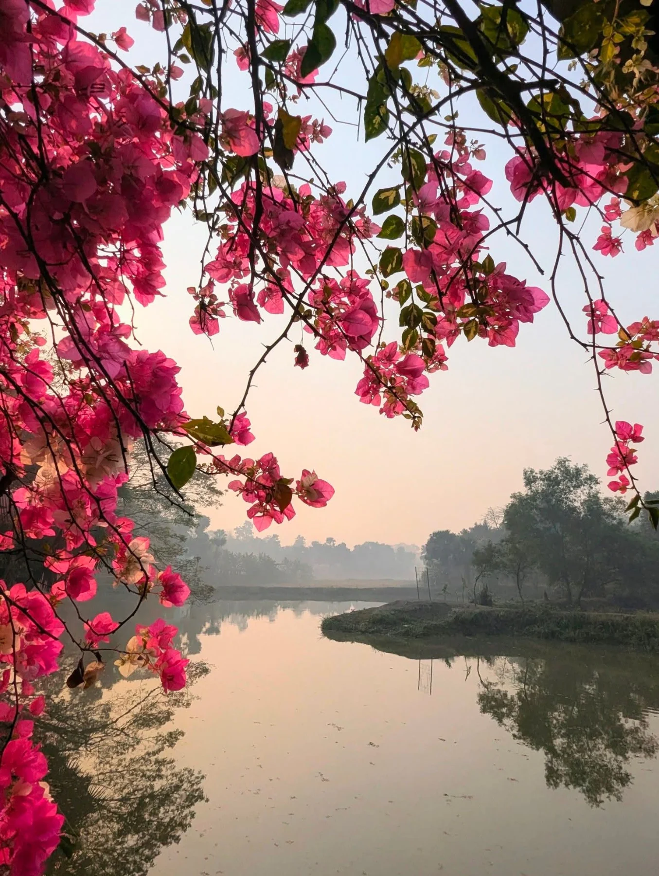 Photograph by Arafat Rahaman