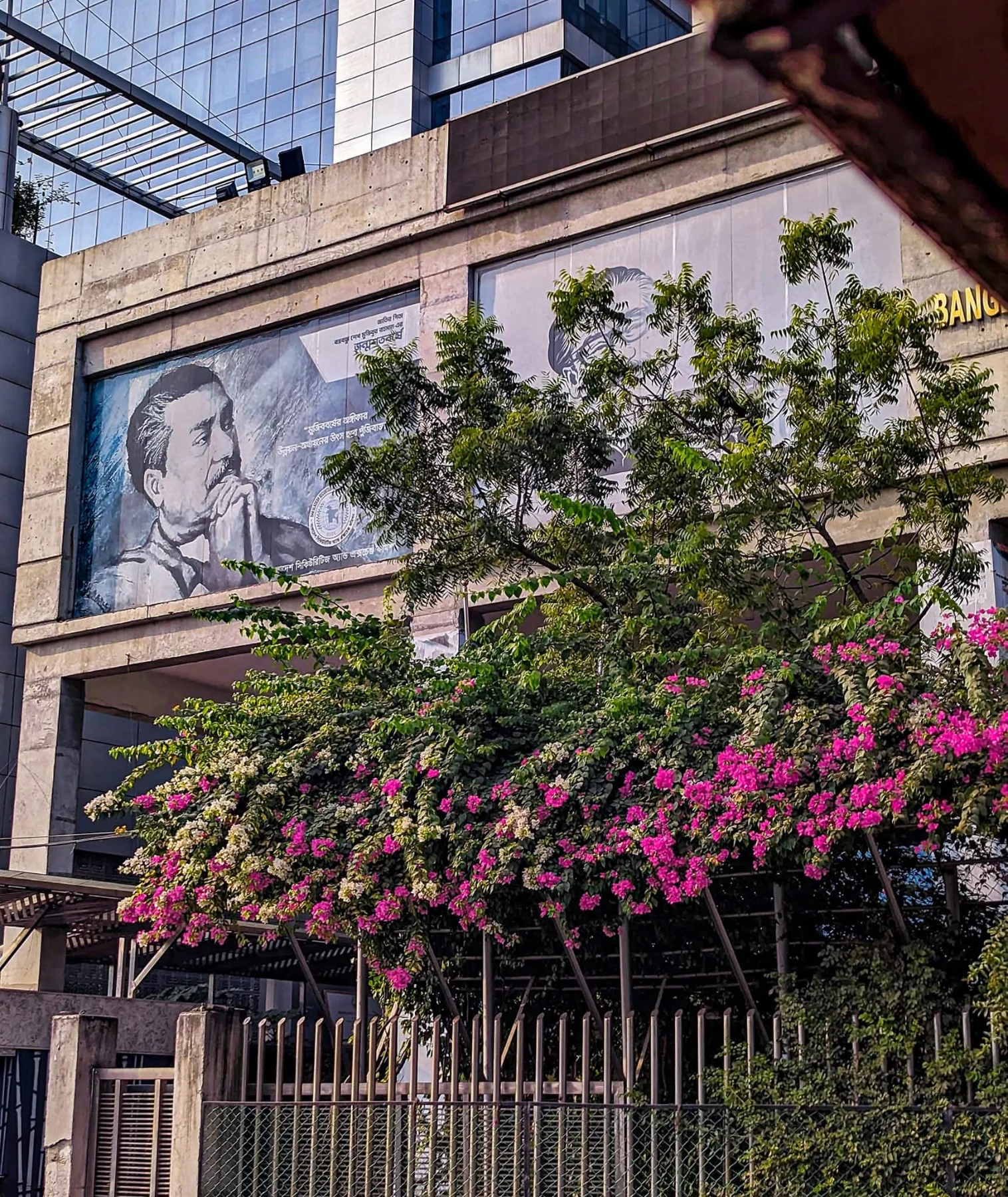 Photograph by Arafat Rahaman